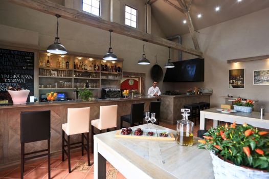 cafe bar grill ezop